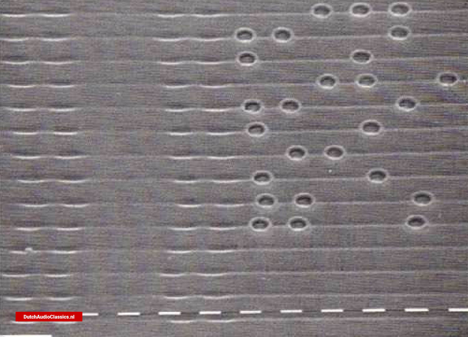 Scanning electron microscope photo shows prerecorded heading structure and recorded data in the groove.